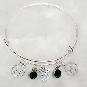Taurus Charm Bracelet